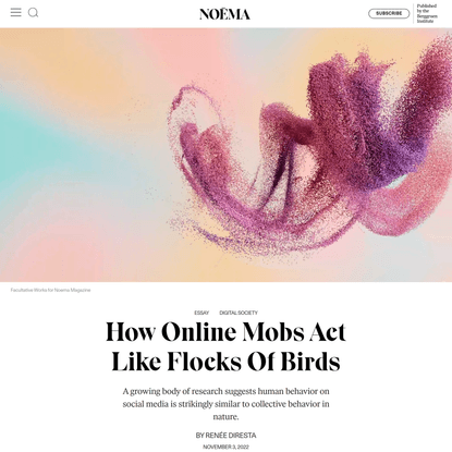 How Online Mobs Act Like Flocks Of Birds | NOEMA