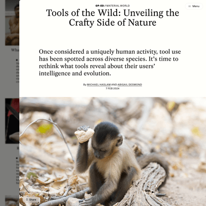Tools of the Wild: Unveiling the Crafty Side of Nature