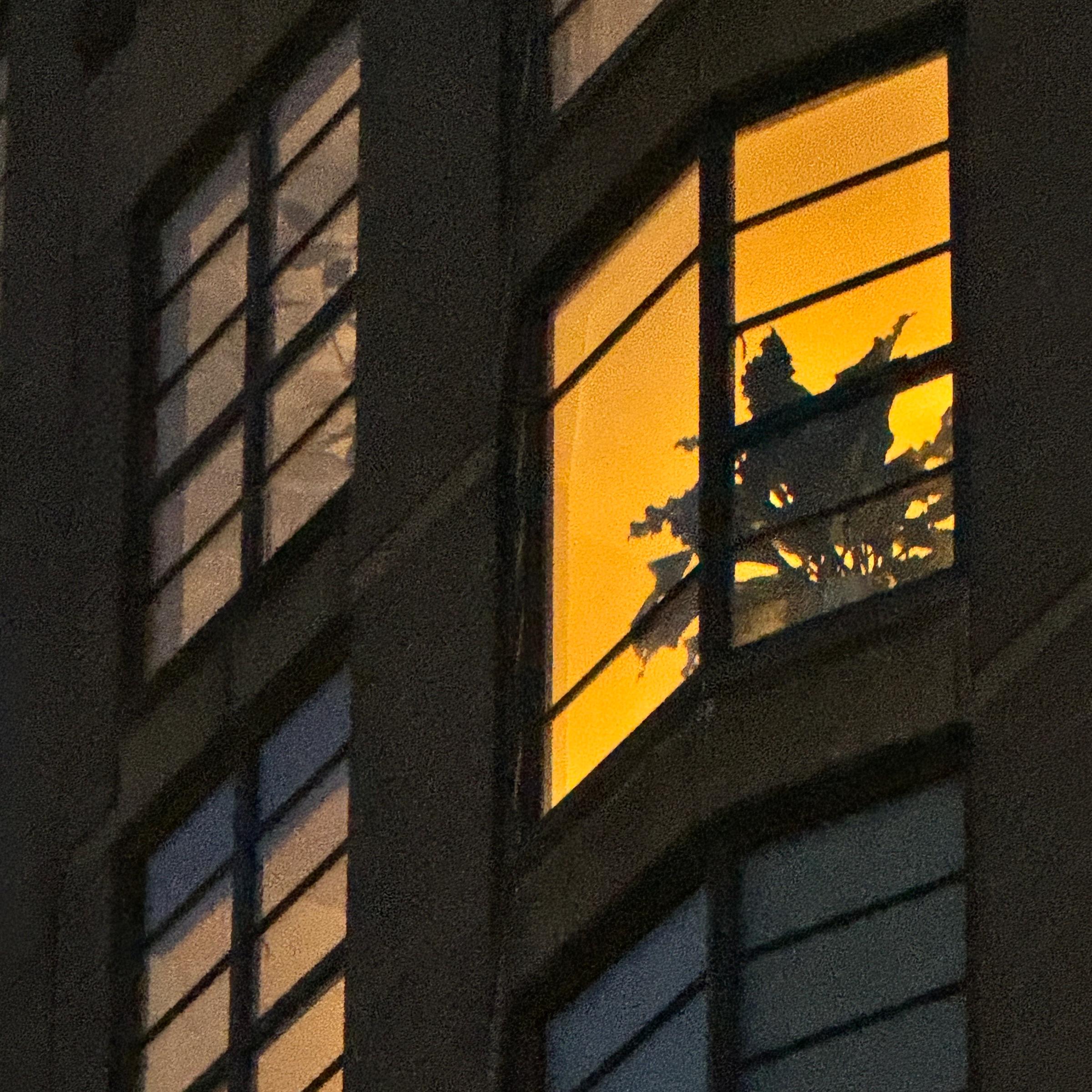 window
