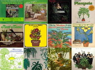 music-to-grow-plants-by-compilation-sounding-out1-1-.webp