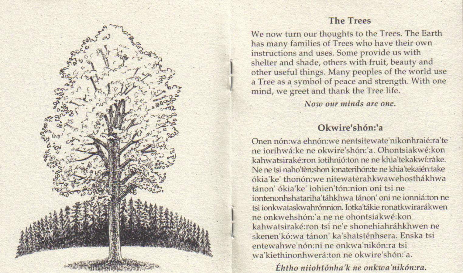 The Trees - Haudenosaunee Thanksgiving Address