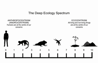 the-deep-ecology-spectrum-copyright-hr-smith-2014-reprinted-with-permission.ppm.png
