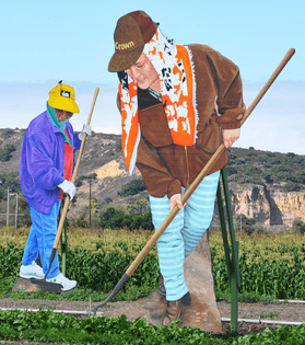 field2.jpg