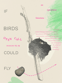 Open Call - If Birds Could Fly