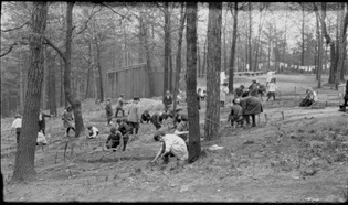 The Forest school in High Park in Toronto in June, 1917.