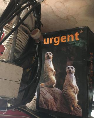 photo capturing the phrase, urgent