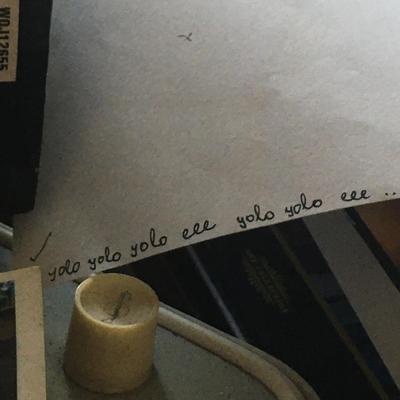 photo capturing the phrase, yolo