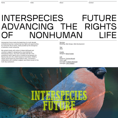 Interspecies Future | Violet Office