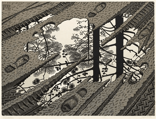 M.C. Escher - Puddle (1952)