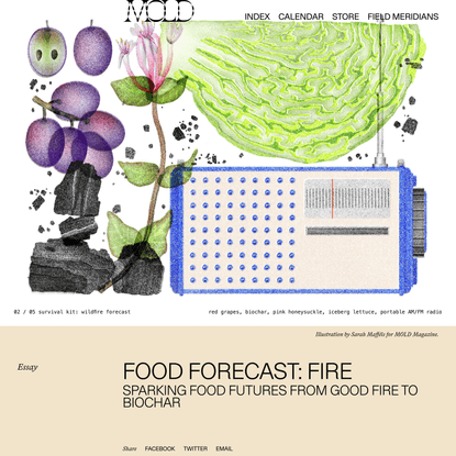Food Forecast: Fire - MOLD :: Designing the Future of Food