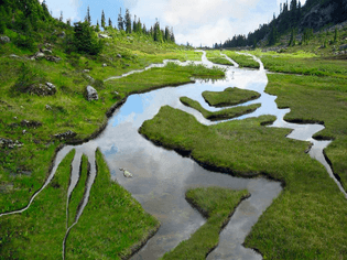 Kokopelli River by gerace, “Kokopelli, the Flute Player, is a Native American symbol of fertility, dance, and mischief. Legends say his spirit protects this meadow stream.