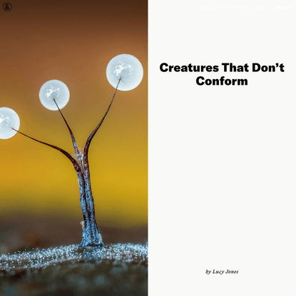 Creatures That Don’t Conform – Lucy Jones
