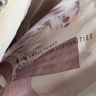 photo capturing the phrase, sometimes small things can become opportunities