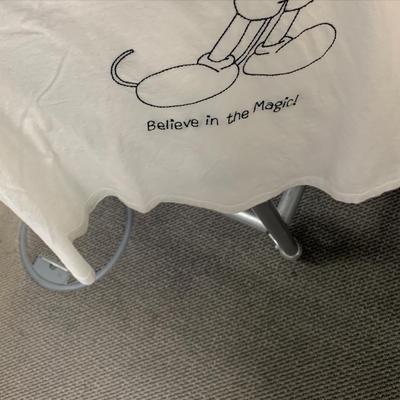 photo capturing the phrase, believe in the magic!