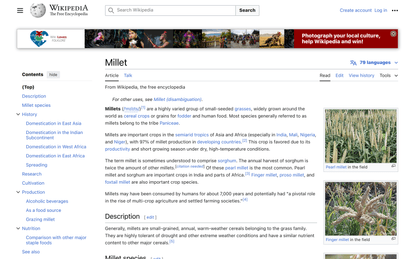 Millet - Wikipedia