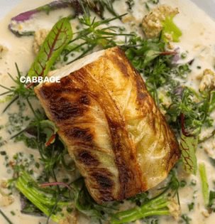 Cabbage charred halibut