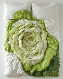 Bed of Lettuce by Paul Octavious