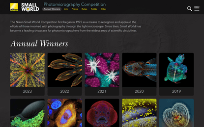 Photomicrography Competition