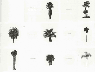 A Few Palm Trees, Ed Ruscha