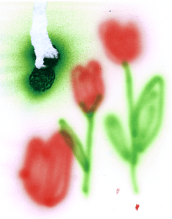 airbrush-tulips.png