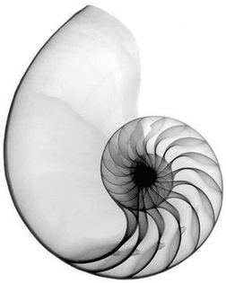 ec24e563e7077e5630d2dfb8846ad38b.jpg