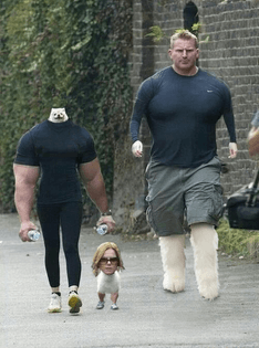 x0q2u5X.jpg