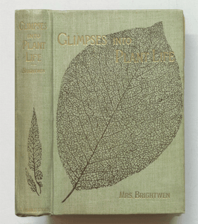Glimpses into plant-life; an easy guide to the study of botany.