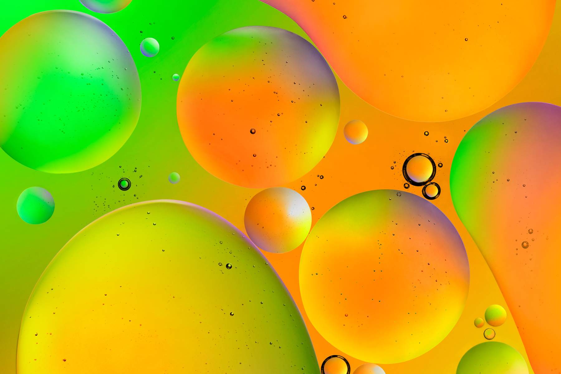 9d18a563-d9c3-4316-a377-3dd71900aa99_concrete-ingredients-art-direction-macro-liquid-bubbles-with-color-gradients.jpg