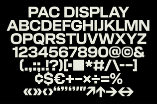pac_nyc_by_porto_rocha_the_essential_design_6_2401ab9484.jpg