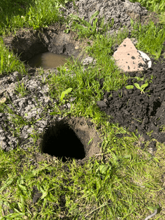 Two holes dug into a patch of grass. One is filled with muddy looking water.