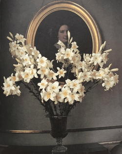 Cover image of Karen Blixen’s Flowers. 