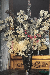 Cut crystal vase on mirror console with white, cream and pink flowers; "Gruss an Aachen" roses, false jasmine, lathyrus, geranium, lamb's ears, sweet william, clarkia, flowering ground elder and flowering elder