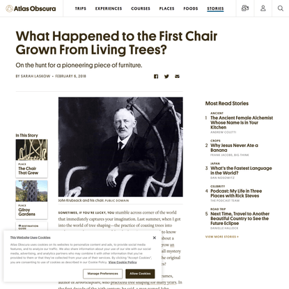 What Happened to the First Chair Grown From Living Trees?