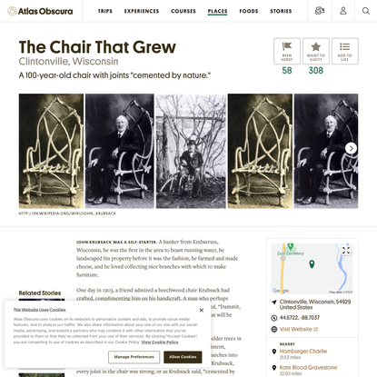 The Chair That Grew