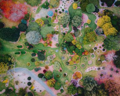 Mount Lofty Botanic Garden