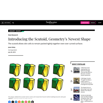 Introducing the Scutoid, Geometry’s Newest Shape