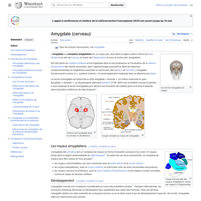 Amygdale (cerveau) — Wikipédia