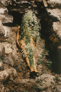 Ana Mendieta, Imágen de Yágul (Image from Yagul), 1973, color photograph..png