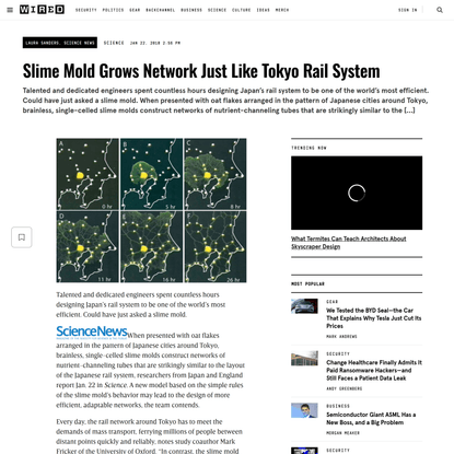 Slime Mold Grows Network Just Like Tokyo Rail System