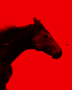 Red Horse 002
