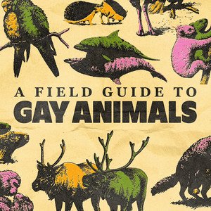 Coming Soon: A Field Guide To Gay Animals (Official Trailer)