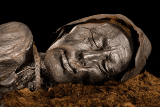Tollund Man, who was hanged with a leather cord and cast into a Danish bog, is housed at Denmark's Silkeborg Museum.