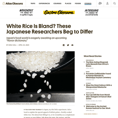 White Rice Is Bland? These Japanese Researchers Beg to Differ