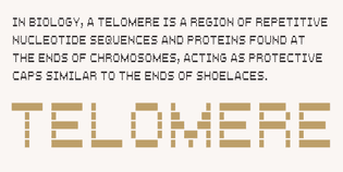 Telomere Typeface by Thoma Kikis / TEKNIKE
