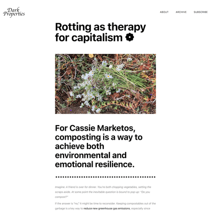 Rotting as therapy for capitalism ❁