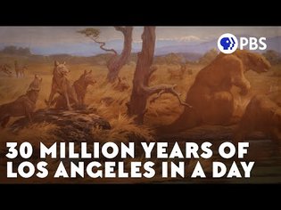 How Plate Tectonics Transformed Los Angeles