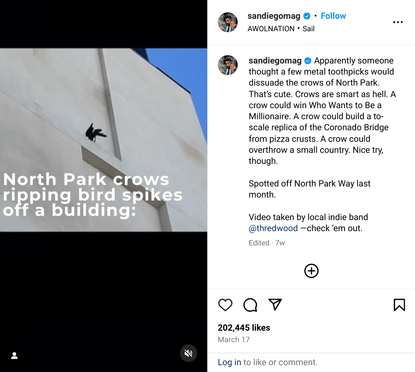 San Diego Magazine on Instagram: “Apparently someone thought a few metal toothpicks would dissuade the crows of North Park. ...