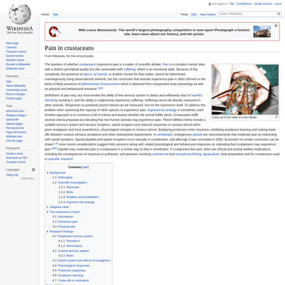 Pain in crustaceans - Wikipedia