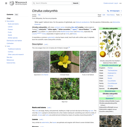 Citrullus colocynthis - Wikipedia