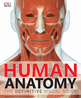 human anatomy the definitive visual guide